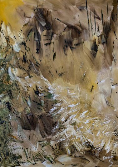 Abstract forest rocks